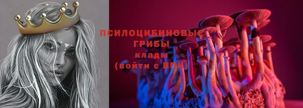 гидропоника Богородицк