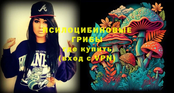 герыч Богородск