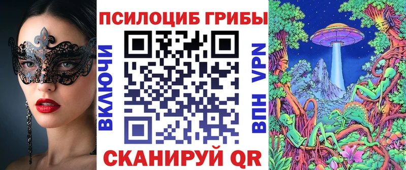 Купить закладки  Нязепетровск  Галлюциногенные грибы прущие грибы 